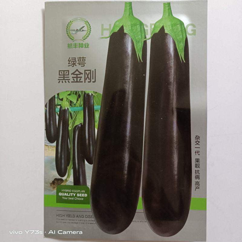 航丰黑金刚绿把茄子种子绿萼杂交一代品种种子