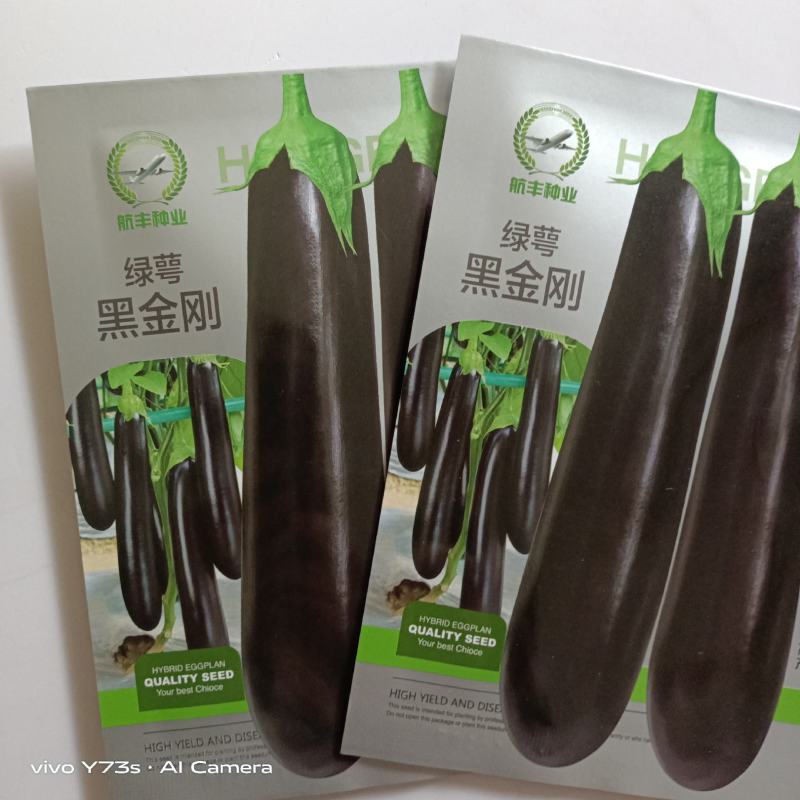 航丰黑金刚绿把茄子种子绿萼杂交一代品种种子