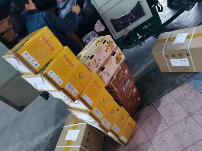 【一件代发】西林优质皇帝柑全国发货现摘现发对接电商超市