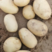 中薯5号，沃土，西森，实验一各种土豆上市，现定现挖