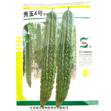 苦瓜种子秀玉4号苦瓜强雌性果实长棒形果皮深绿色有光泽