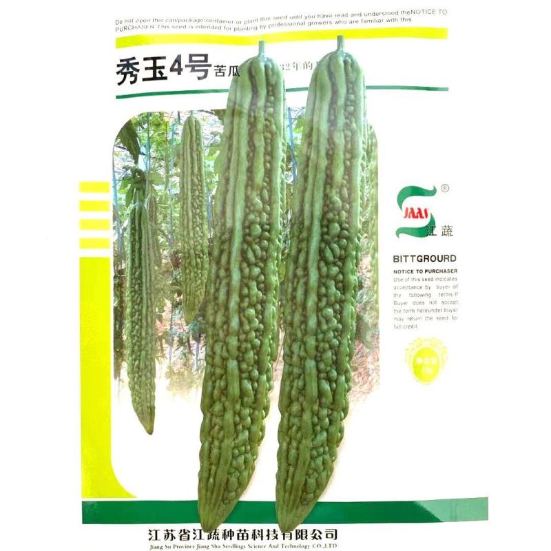 苦瓜种子秀玉4号苦瓜强雌性果实长棒形果皮深绿色有光泽