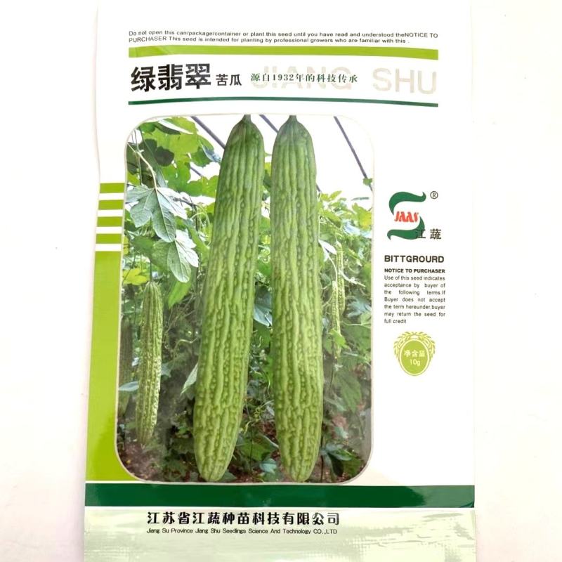 苦瓜种子秀玉4号苦瓜强雌性果实长棒形果皮深绿色有光泽