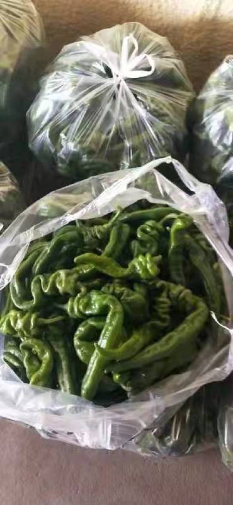 螺丝椒