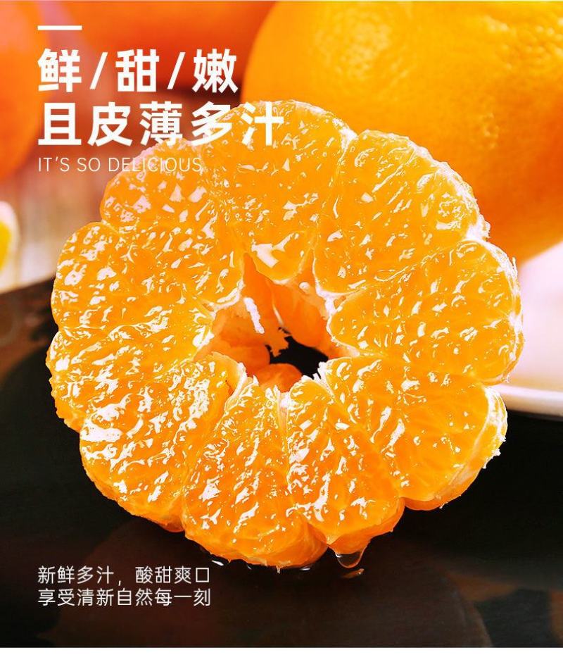 四川正宗春见耙耙柑一件代发柑橘电商货现摘现发孕妇新鲜桔子