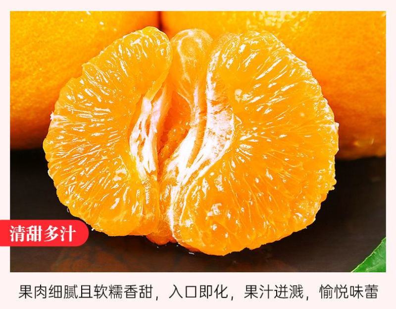 四川正宗春见耙耙柑一件代发柑橘电商货现摘现发孕妇新鲜桔子
