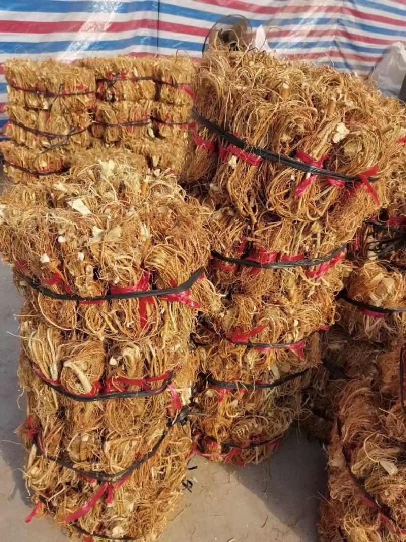 大扎把野生无硫五指毛桃，大量批发，价格优惠，你有量我有价