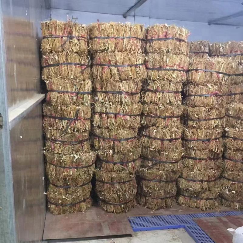 大扎把野生无硫五指毛桃，大量批发，价格优惠，你有量我有价