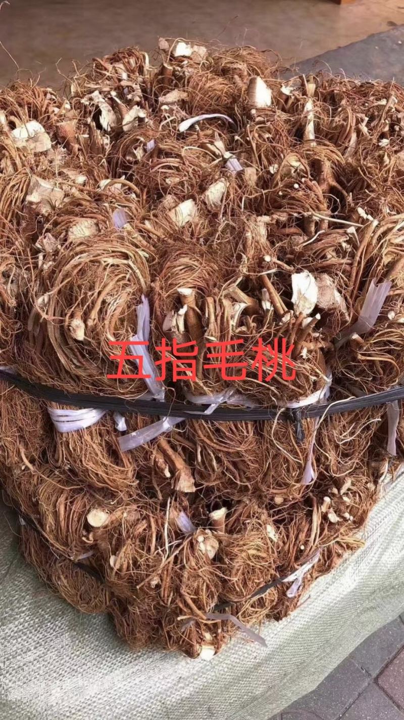 大扎把野生无硫五指毛桃，大量批发，价格优惠，你有量我有价