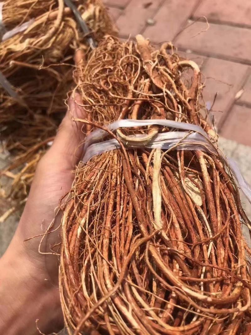 大扎把野生无硫五指毛桃，大量批发，价格优惠，你有量我有价
