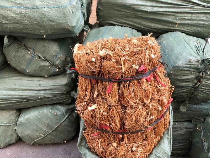 大扎把野生无硫五指毛桃，大量批发，价格优惠，你有量我有价