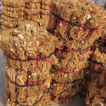 大扎把野生无硫五指毛桃，大量批发，价格优惠，你有量我有价