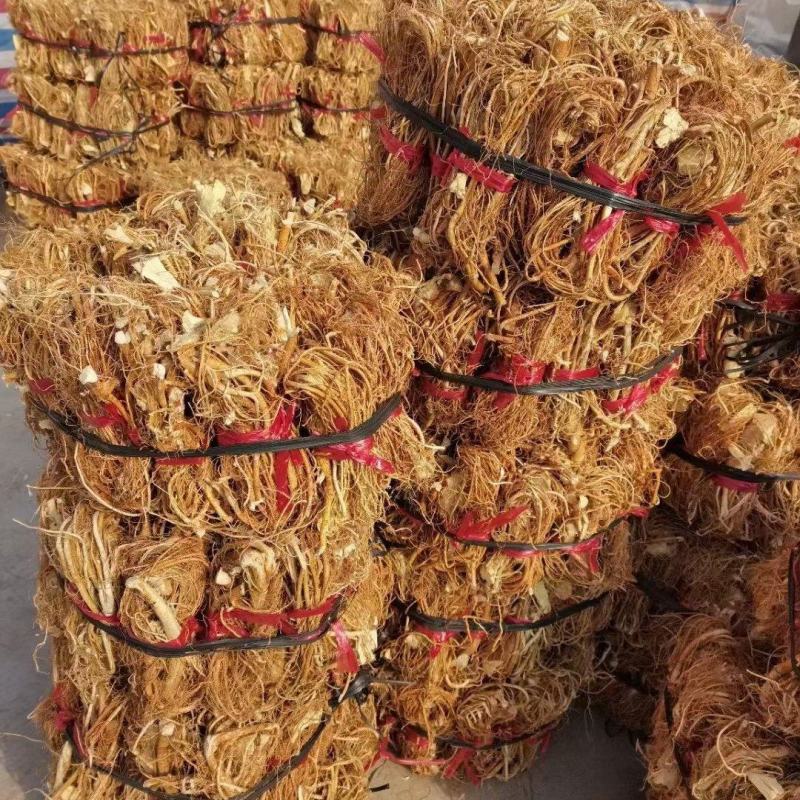 大扎把野生无硫五指毛桃，大量批发，价格优惠，你有量我有价