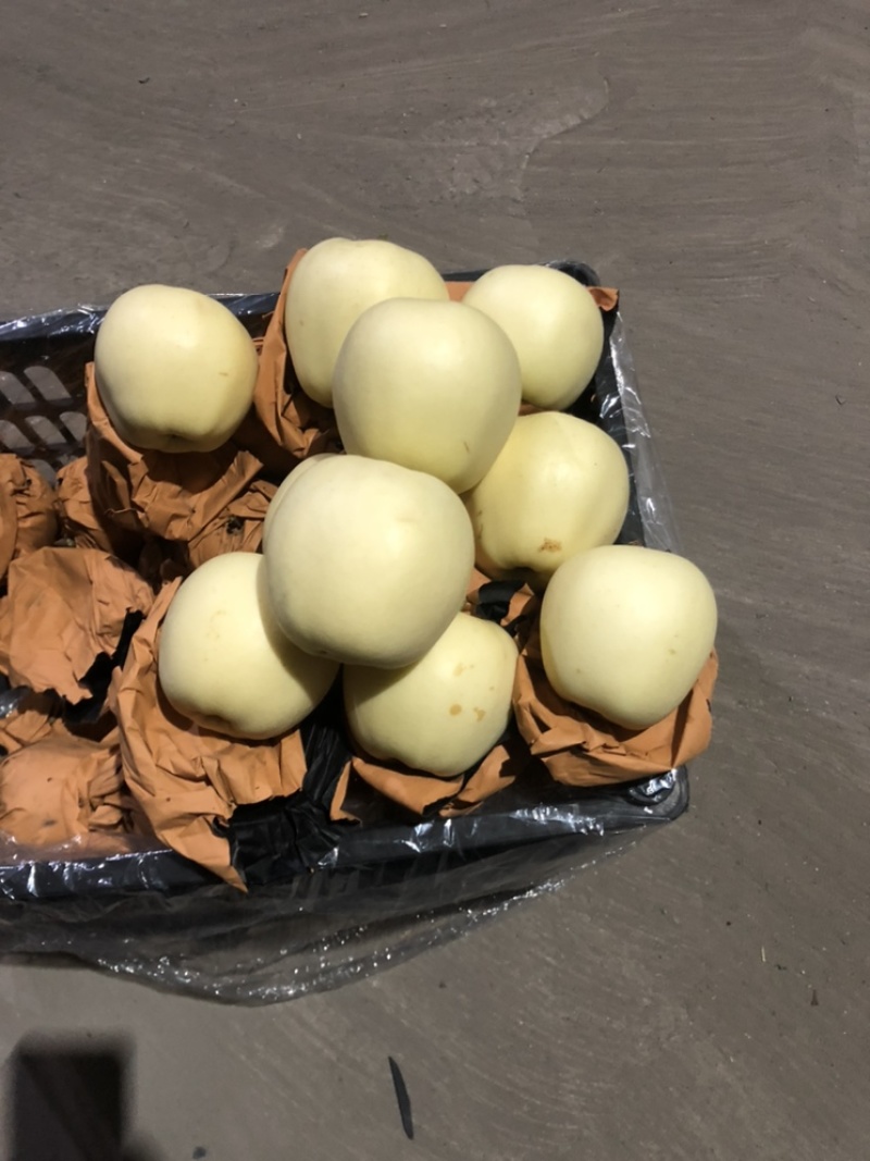 黄元帅苹果