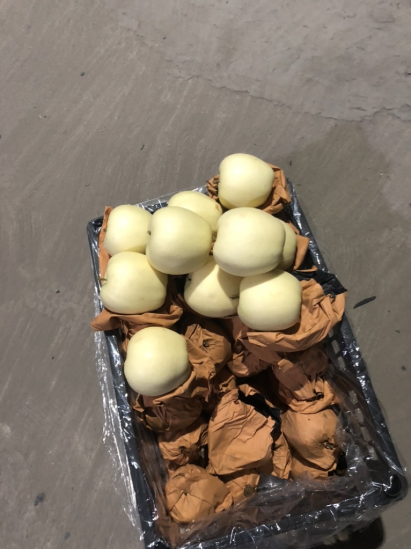 黄元帅苹果
