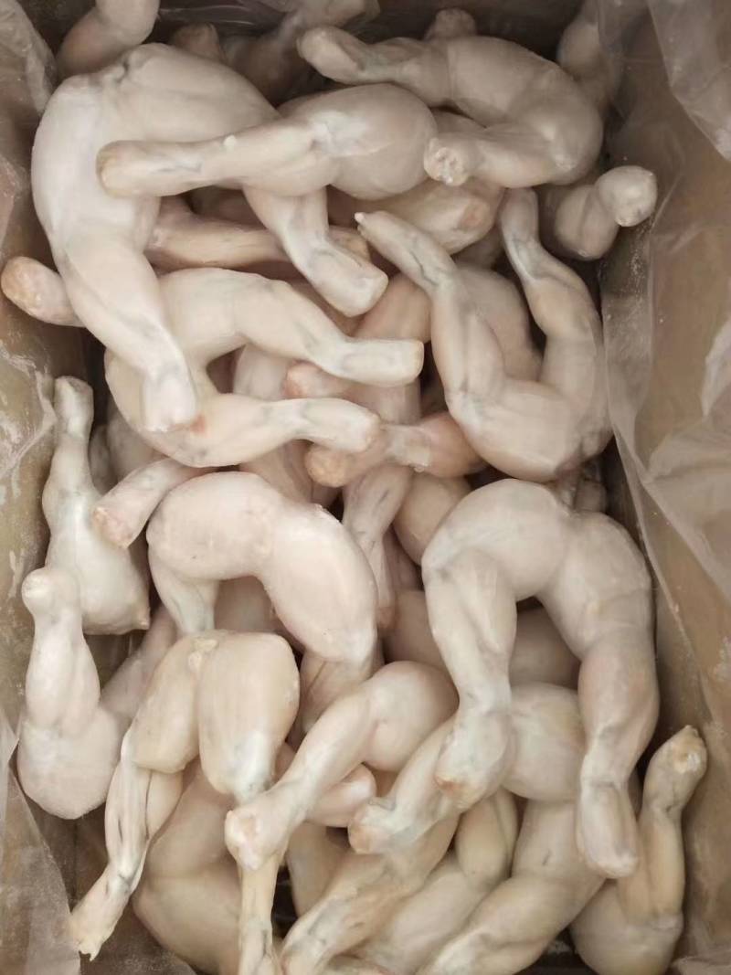 牛蛙后腿。单冻牛蛙后腿，出口品质