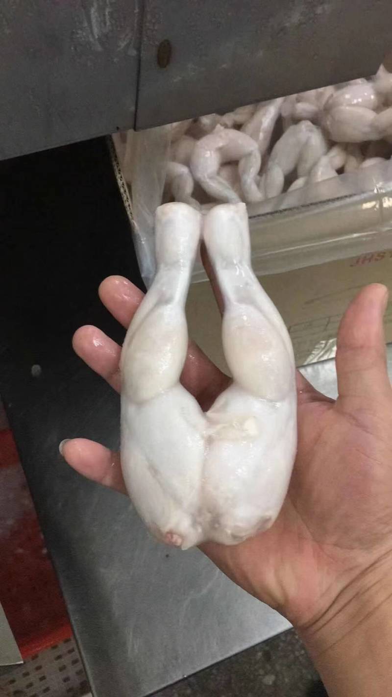 牛蛙后腿。单冻牛蛙后腿，出口品质