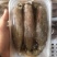 满籽鱿鱼食用冰冻，带籽量99%