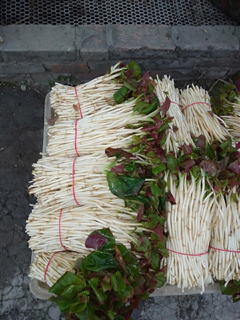 鱼腥草塑料袋子，泡沫箱子，精包装，，，，，，，，