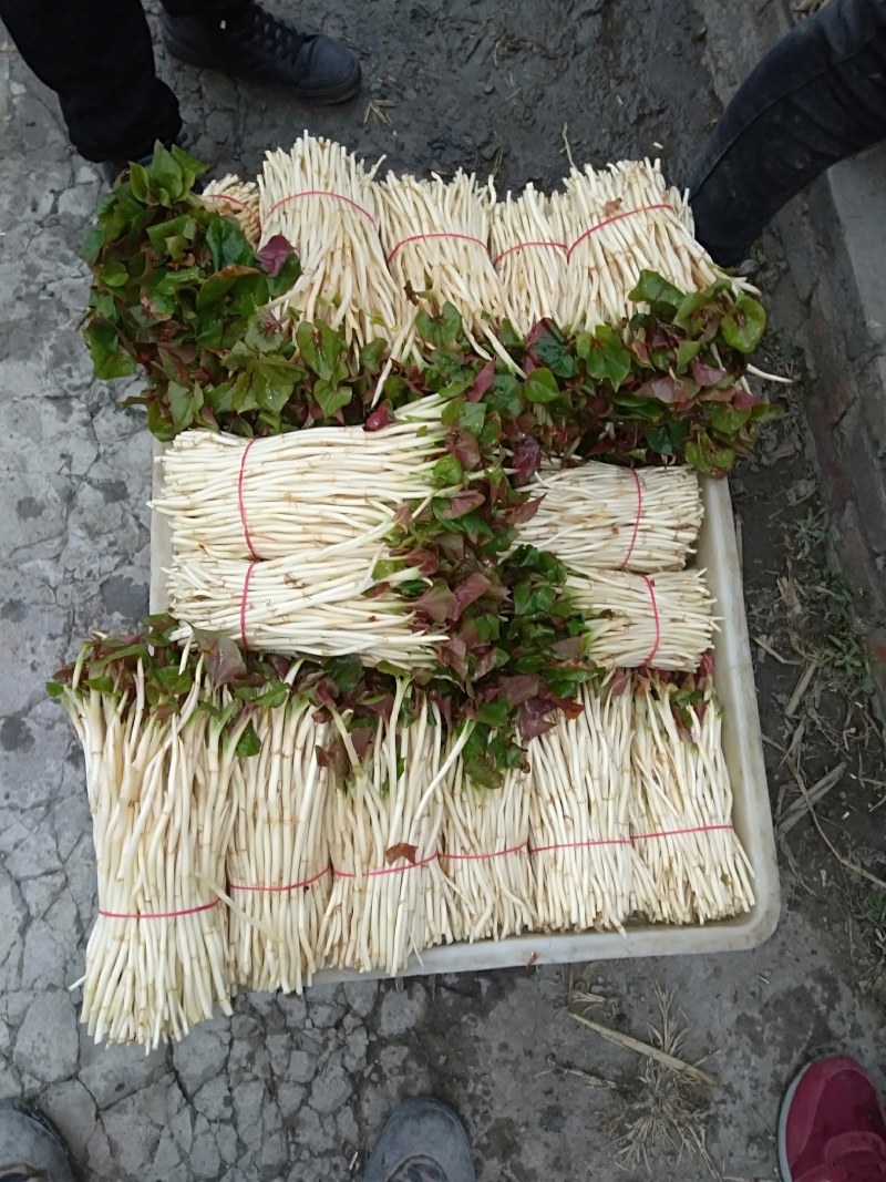 鱼腥草塑料袋子，泡沫箱子，精包装，，，，，，，，