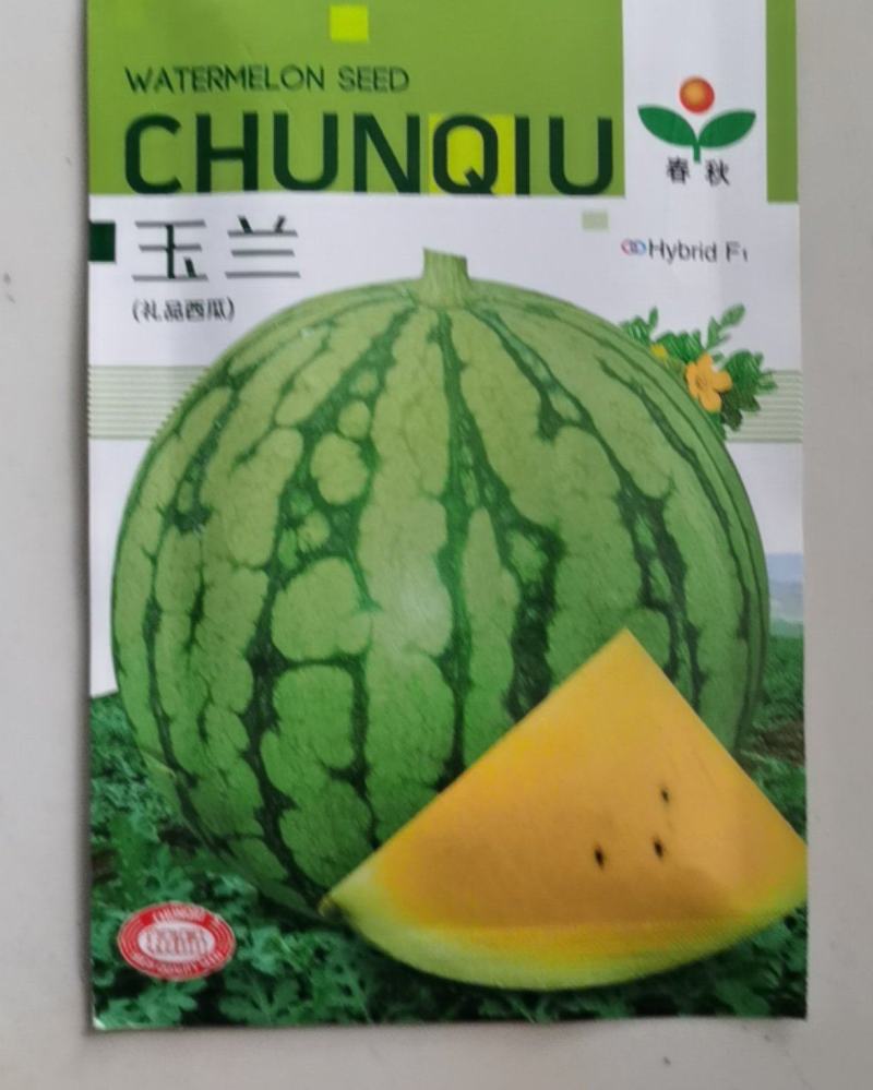 黄壤西瓜种子玉兰小西瓜种子小西瓜籽礼品西瓜籽耐裂甜早熟