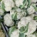 热卖花菜，松花菜，散花。威远当地精品花。80天小米花