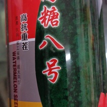 龙卷风西瓜种子高糖8号中早熟抗重茬码密易做果面光滑，