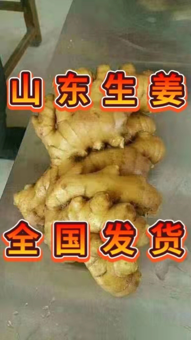 精选大黄姜山东优质生姜产地代存代发商超专供