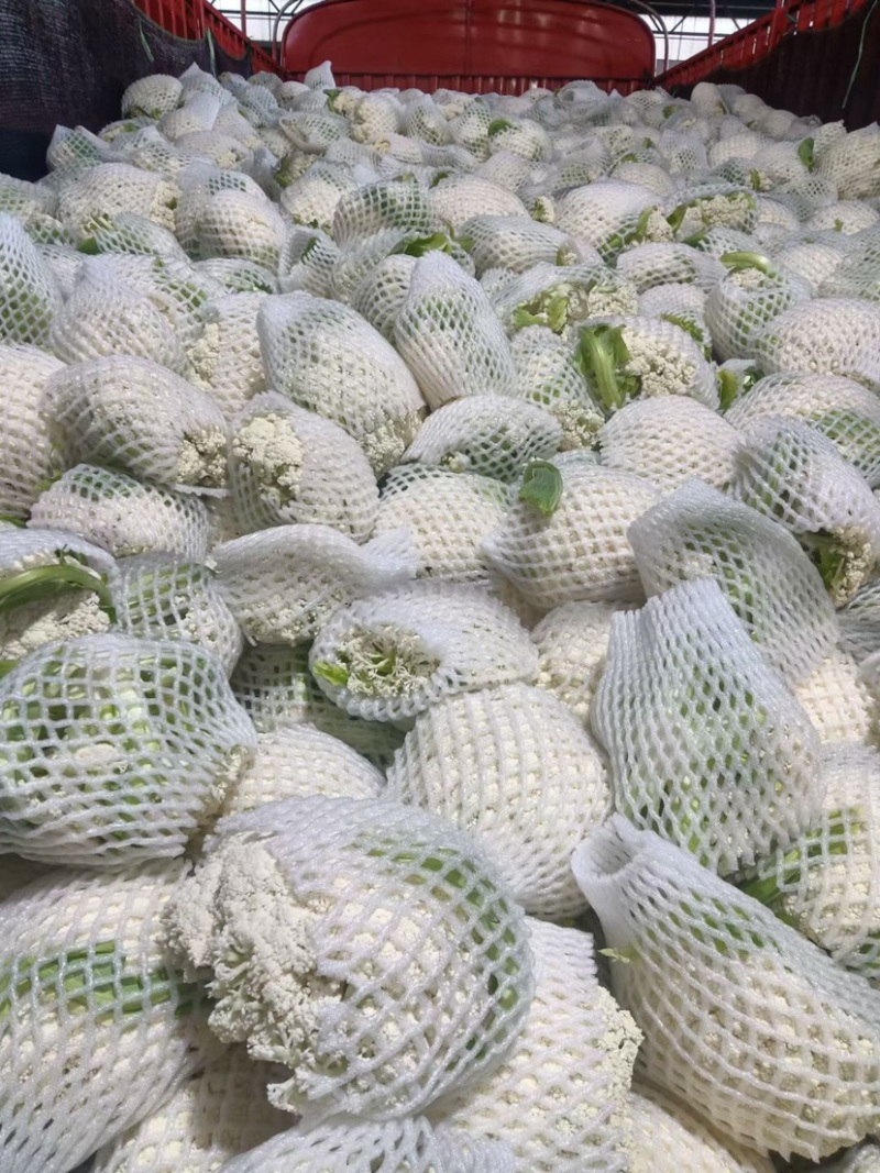 有机花