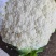 有机花