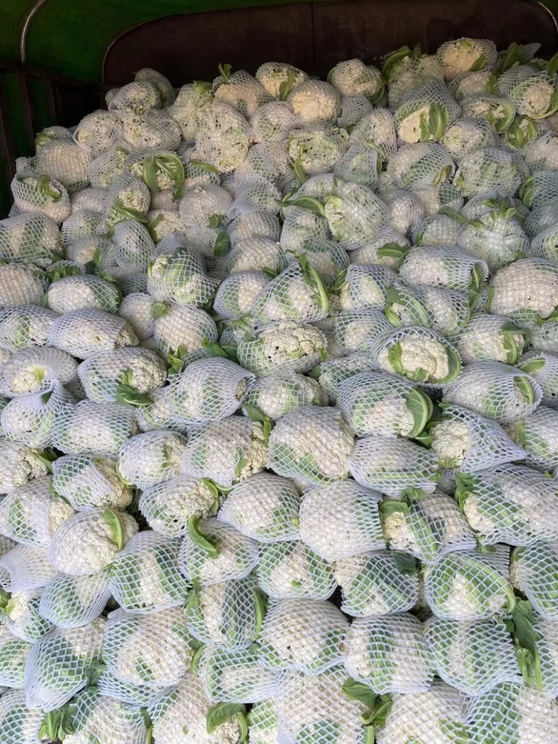 有机花