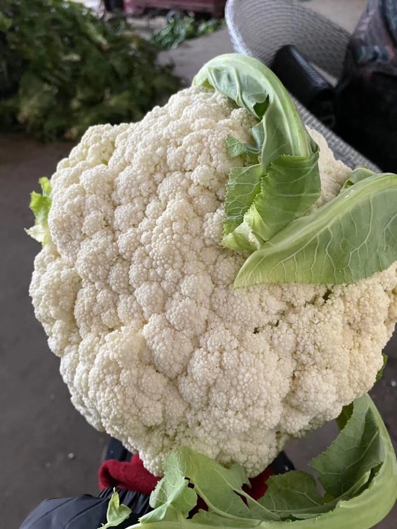 有机花
