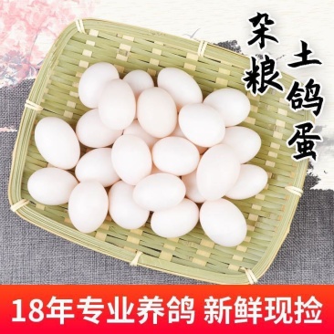 【产地】鸽子蛋新鲜初生蛋农家五谷杂粮散养白鸽送礼包邮
