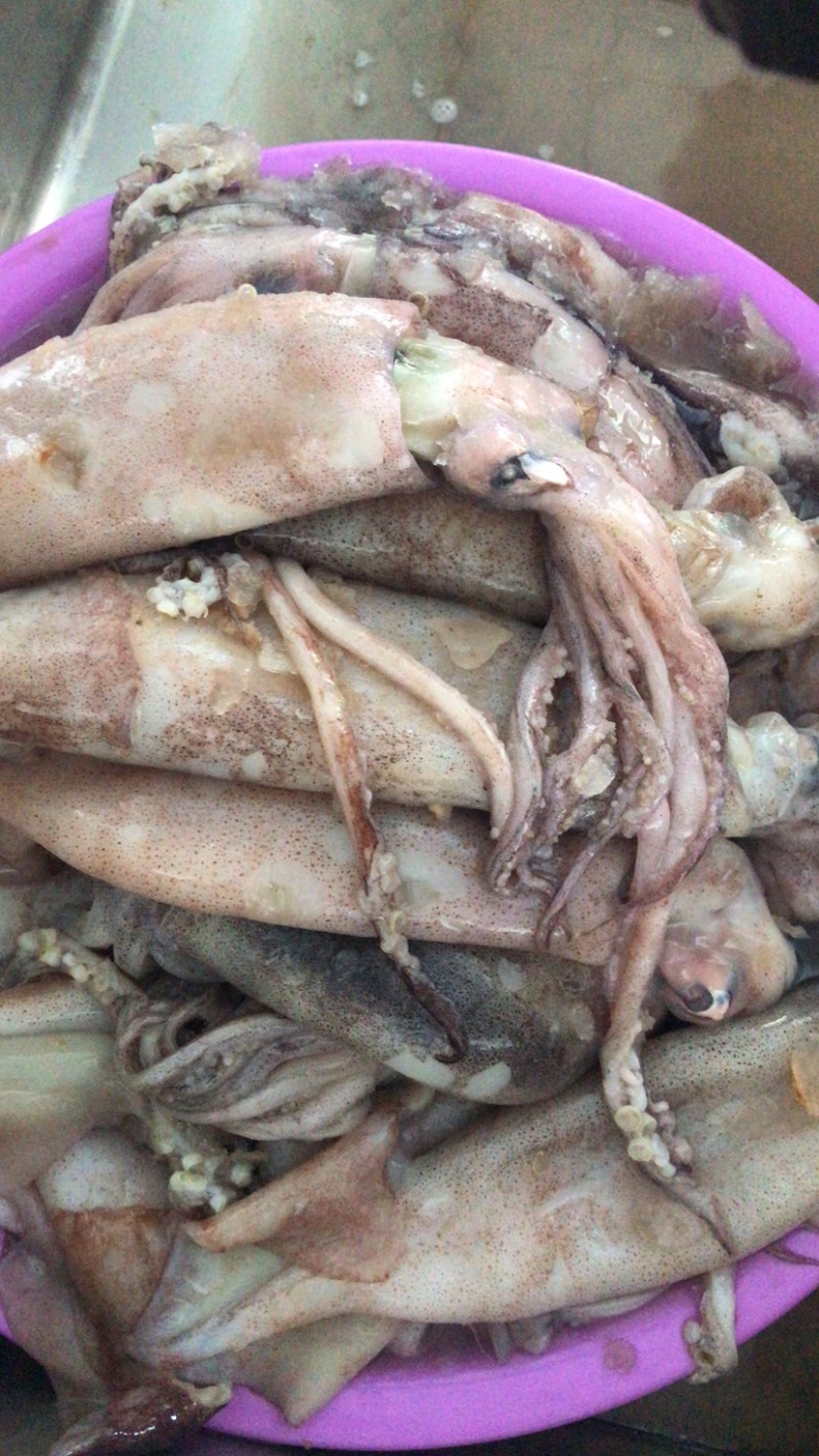 俄罗斯鱿鱼（真鱿）清仓价