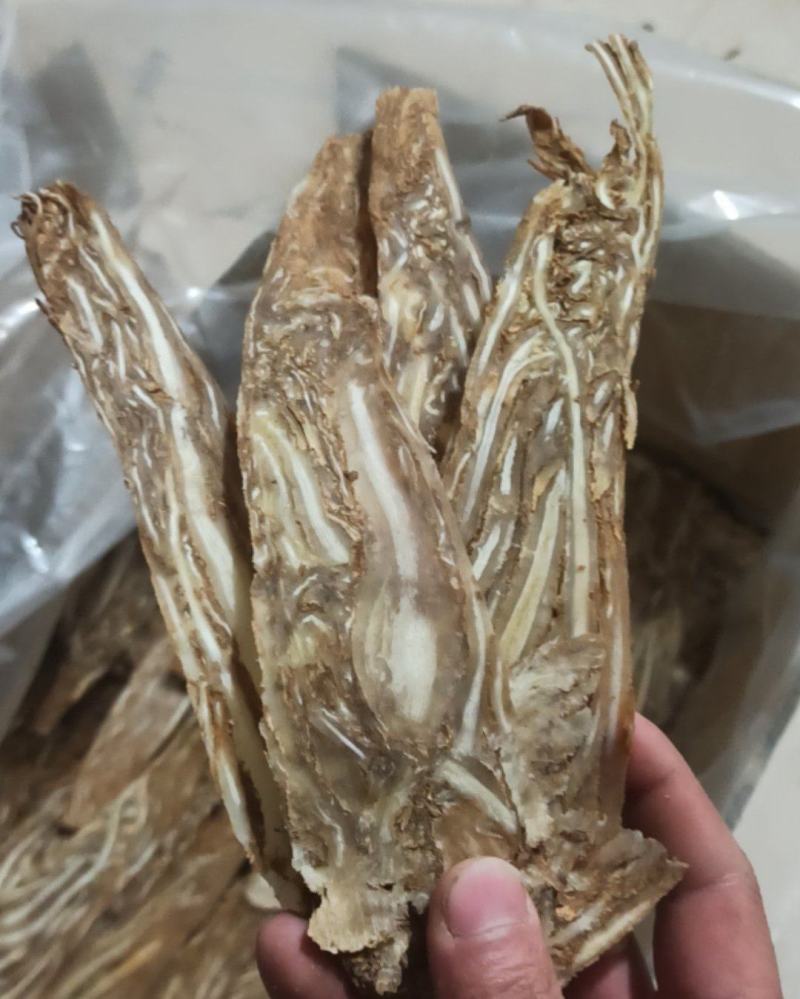 当归当归佛手片质量保证量大从优