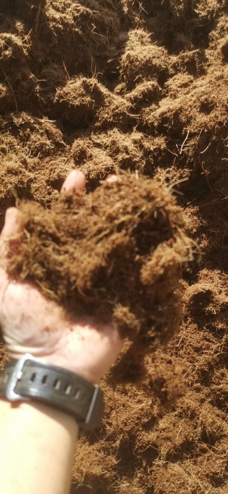 椰糠和椰子纤维