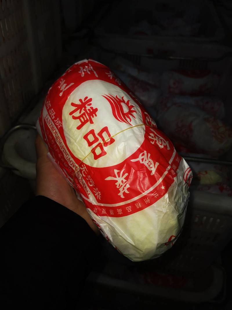 精品大娃娃菜