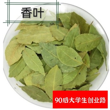 香叶月桂叶香料调料卤肉料大料中药材火锅料