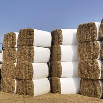 优质小麦秸秆二次加压除尘产地发货可视频欢迎来电