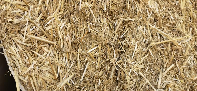优质小麦秸秆二次加压除尘产地发货可视频看货欢迎来电