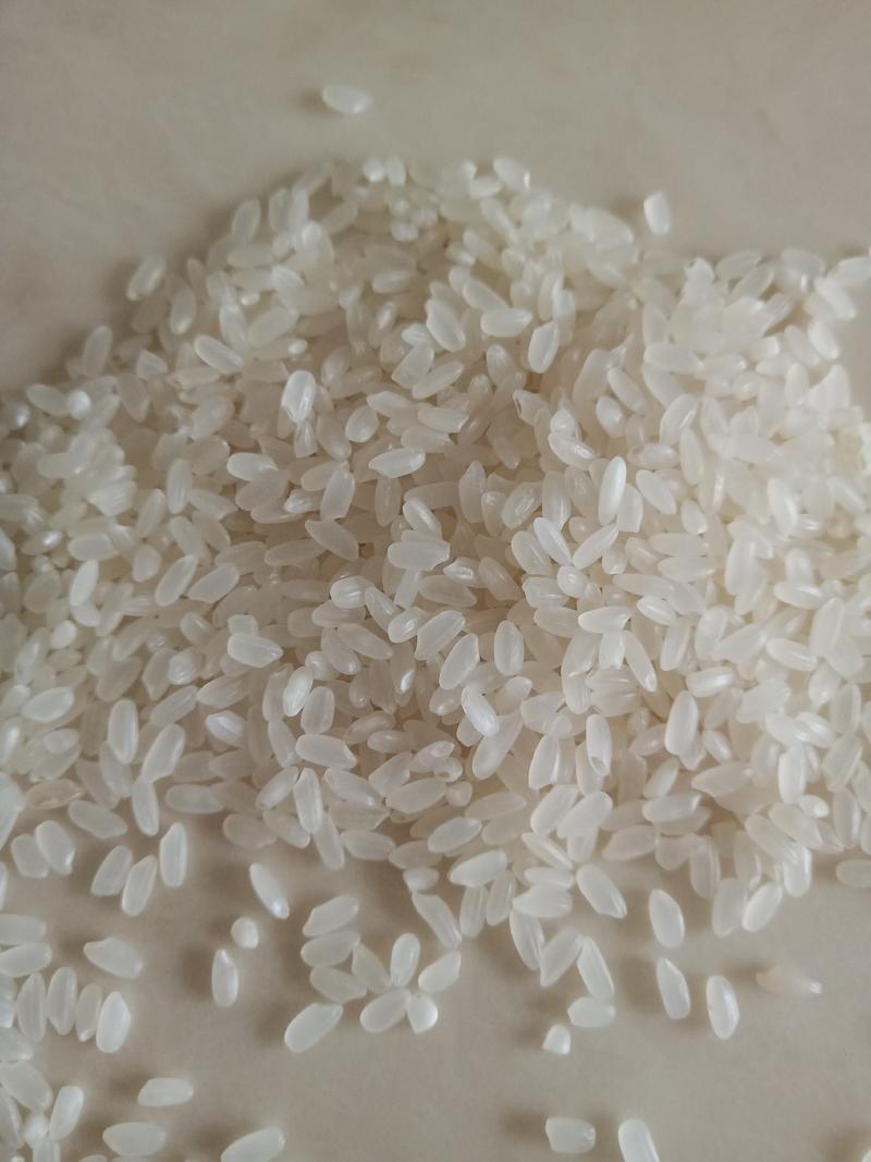 大米自产自销黑龙江新米一年一季水稻口感香甜量大优惠