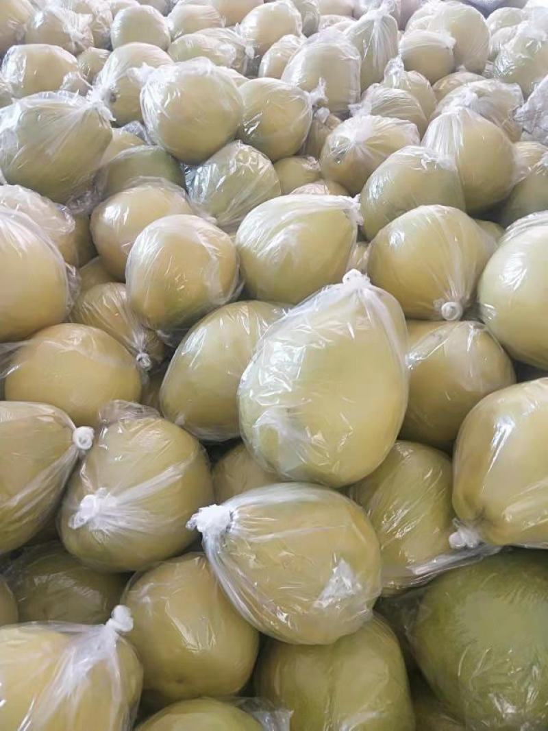 香柚之乡江永县-精品沙田柚大量货源需要的联系