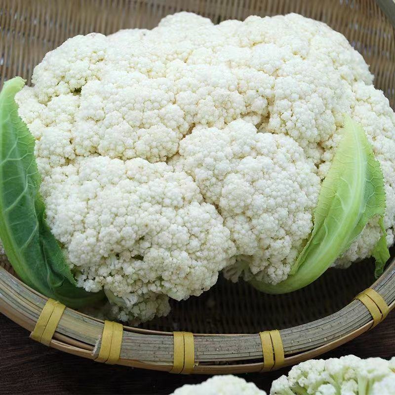【好货】精品家花菜，基地直发，大量供应，量大从优