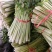 【热销】新鲜芹菜，精品货源，产地直供，诚信经营可视频看