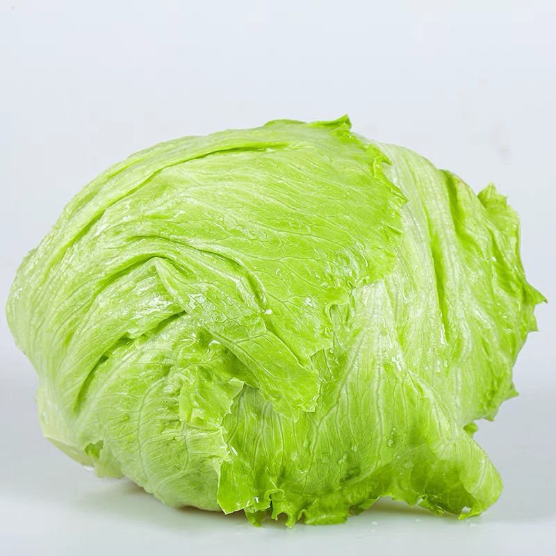 生菜球大量上市，色泽亮绿，个头大小均衡，价格美丽
