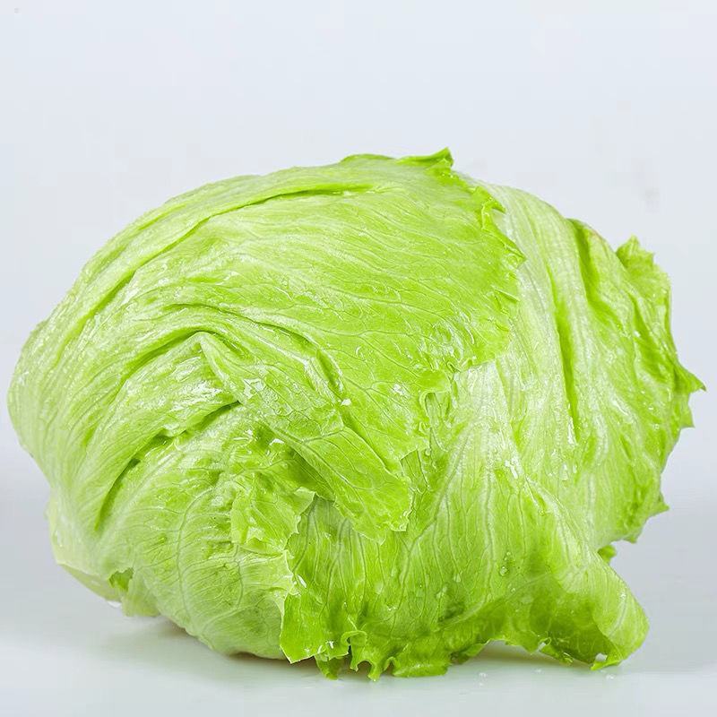 生菜球大量上市，色泽亮绿，个头大小均衡，价格美丽