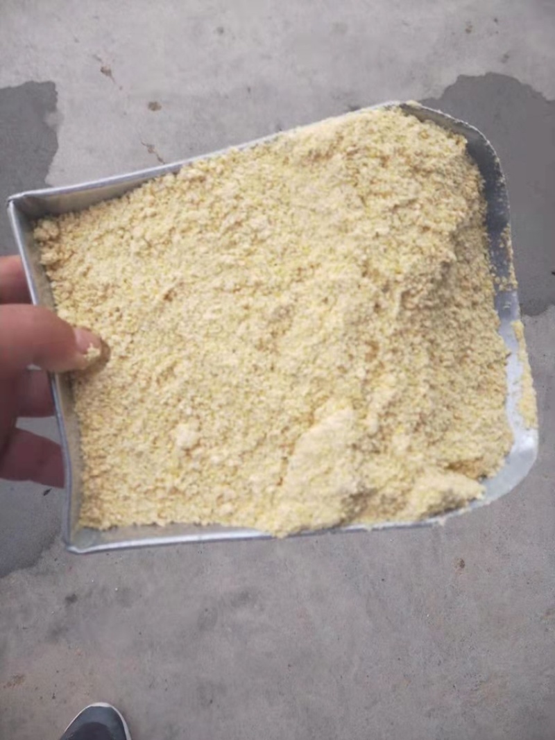 玉米粉玉米次粉用于饲料养殖河南河北各个厂家都有货