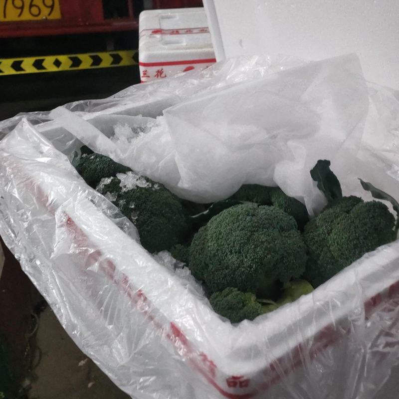 湖北西兰花精品货