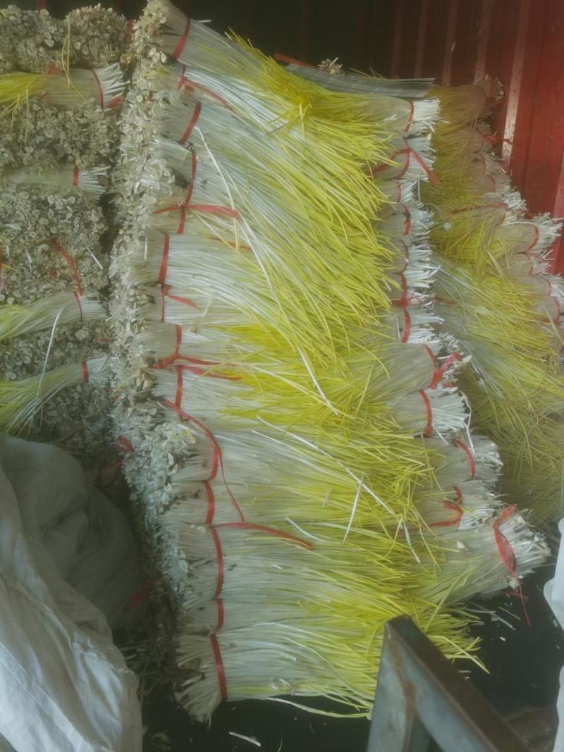 山东安丘冷库打冷蒜黄韭黄蒜苗大量供应质量好性价比高