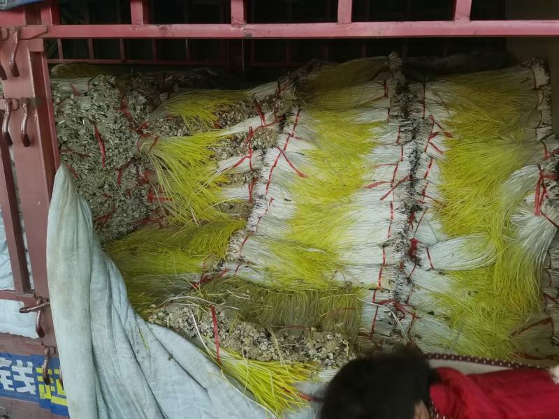 山东安丘冷库打冷蒜黄韭黄蒜苗大量供应质量好性价比高